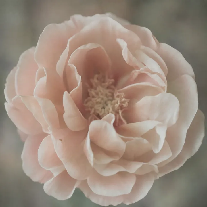 Macro sample photo